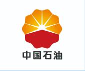 合作伙伴九